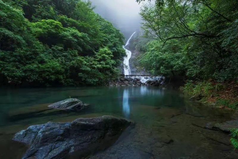 童话世界找不同